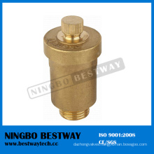 Solar Automatic Air Vent Valve Price (BW-R13)